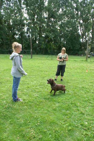 obeissance 2014-08-02